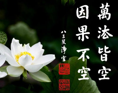 jingkong法师2015年最新开示