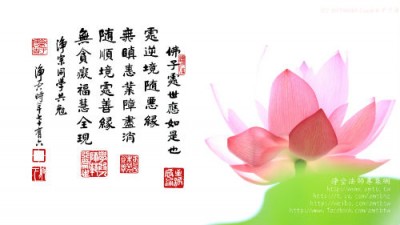 jingkong法师2015年8月最新开示