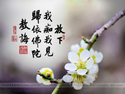 jingkong法师最新近况